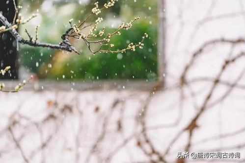 關(guān)于冬雨詩(shī)句古詩(shī)