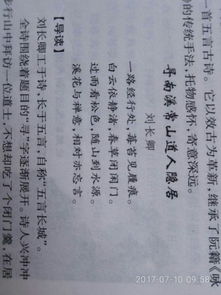 詩(shī)句,抒發(fā),感情,作者