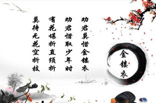 關(guān)于青春的古詩(shī)詩(shī)句