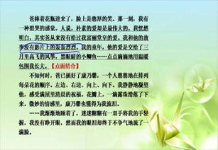 點(diǎn)面結合的一句古詩(shī)句