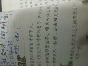 寫(xiě)狗的古詩(shī)句及翻譯