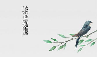 關(guān)于善待的詩(shī)句