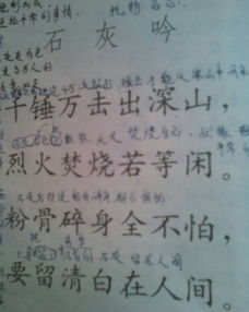 跟石灰吟這首古詩(shī)類(lèi)似的詩(shī)句