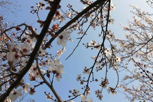 關(guān)于嫌棄的詩(shī)句