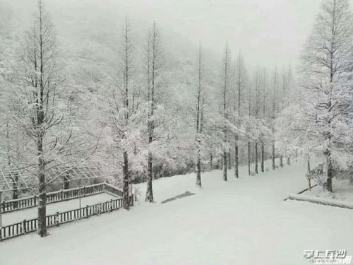詩(shī)句,景色,于春雪