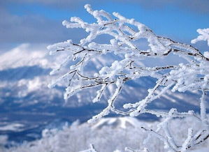 冬雪消融的古詩(shī)句