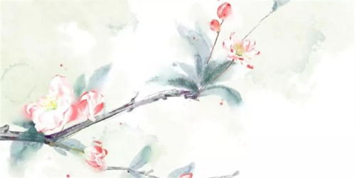 很漂亮,古詩(shī),詩(shī)句