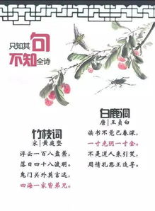 恭賀生子的古詩(shī)句