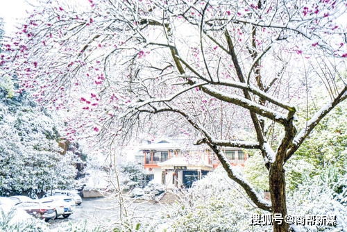 關(guān)于黃河的詩(shī)句及故事