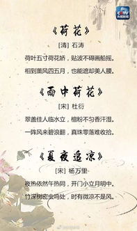 有關(guān)夏天的詩(shī)句古詩(shī)大全,描寫(xiě)夏天的詩(shī)句古詩(shī)大全,描寫(xiě)夏天荷花的詩(shī)句古詩(shī)大全