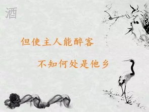 有關(guān)于喝酒的古詩(shī)句