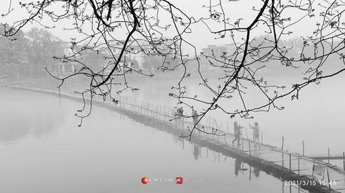關(guān)于桂林的詩(shī)句古詩(shī)