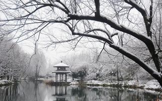 雪景的詩(shī)句古詩(shī)詞