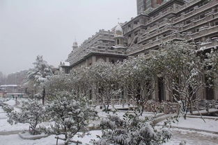 地名,詩(shī)句,于雪