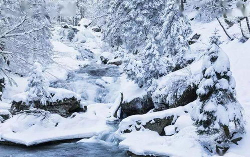詩(shī)句,包括,于雪