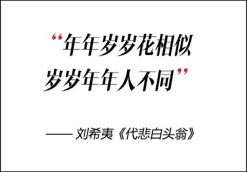 連續兩句古詩(shī)句老師
