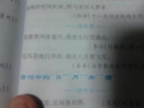 關(guān)于喻雪的詩(shī)句