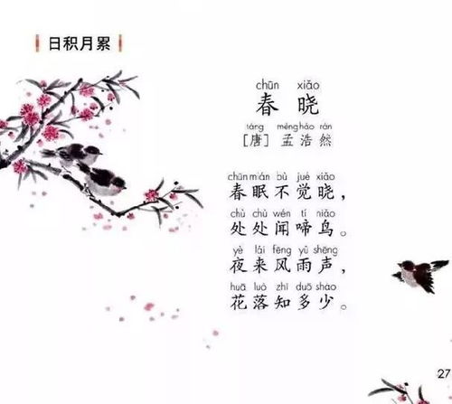 一級夏天詩(shī)句古詩(shī)
