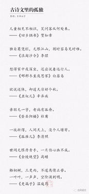 關(guān)于孤獨的文章詩(shī)句