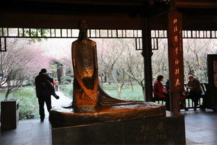 古詩(shī)里重游故居的詩(shī)句