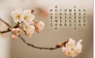 真心朋友難得的詩(shī)句古詩(shī)