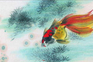 關(guān)于金魚(yú)唯美的詩(shī)句