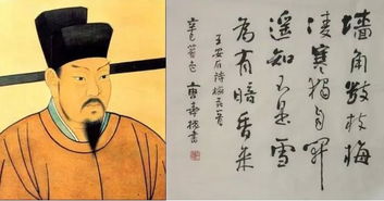 有關(guān)于王安石的詩(shī)句