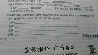 詩(shī)句,帶有