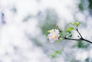 釋然古詩(shī)句