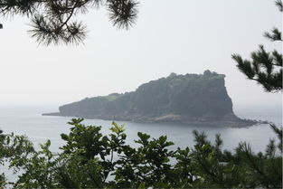 詩(shī)句,棒棰島
