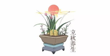 立秋,詩(shī)句,喝酒