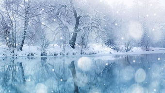 關(guān)于雪的詩(shī)句朱成玉