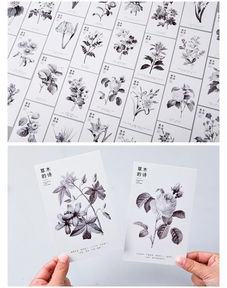 關(guān)于草木的詩(shī)句古詩(shī),描寫(xiě)春天的詩(shī)句古詩(shī),描寫(xiě)荷花的詩(shī)句古詩(shī)