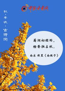 古詩(shī),詩(shī)句,豐收,秋天