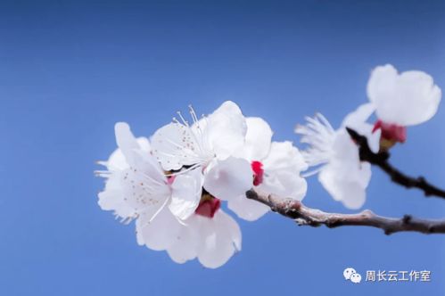 順境利于成長(cháng)的詩(shī)句,在順境中成長(cháng)的詩(shī)句,順境更有利于人的成長(cháng)詩(shī)句