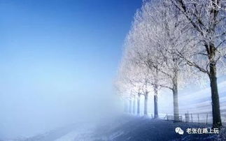 關(guān)于冬天小雪時(shí)節的詩(shī)句