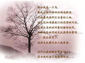 有關(guān)于土的詩(shī)句