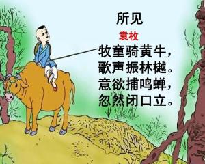 詩(shī)句,知了