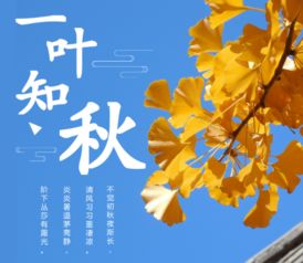 贊美樹(shù)葉的詩(shī)句古詩(shī)