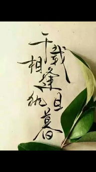別自欺的古詩(shī)句
