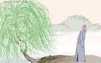 柳的詩(shī)句古詩(shī)加意思