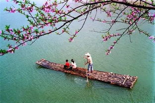 關(guān)于田園幽靜的詩(shī)句