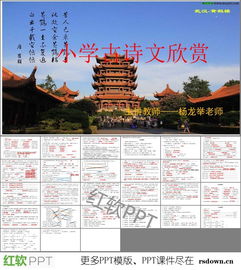 小學(xué)古詩競賽必考的詩句理解