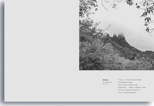 關(guān)于陌生的詩(shī)句