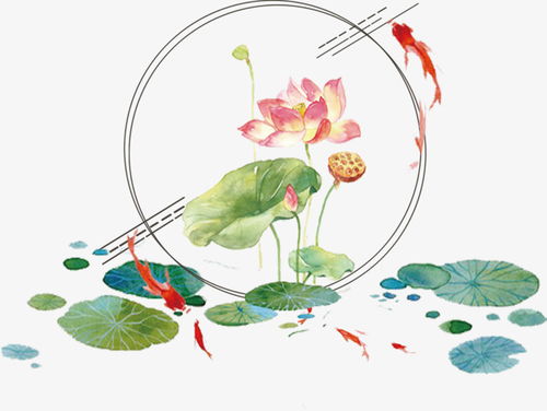 關(guān)于荷葉荷花池塘有關(guān)的詩(shī)句