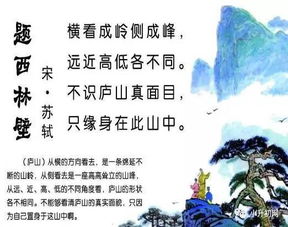 正面側面結合的古詩(shī)句