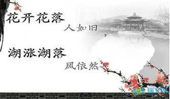 關(guān)于傷感絕望的古詩(shī)句