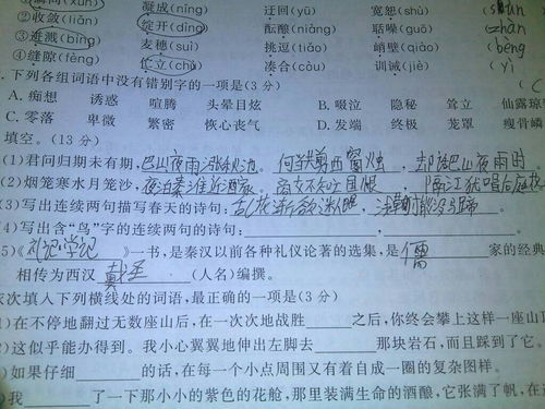 連續兩句描寫(xiě)日的古詩(shī)句
