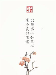 關(guān)于對未來(lái)展望的古風(fēng)詩(shī)句