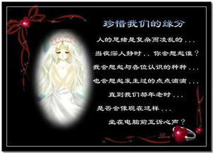 關(guān)于朋友之間的緣分的詩(shī)句